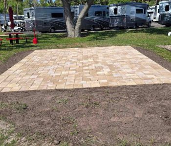 449835412_412298611821989_4101190778158848804_n 449835412_412298611821989_4101190778158848804_n