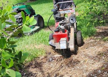 452446269_1645645976219253_2005705632512962692_n 452446269_1645645976219253_2005705632512962692_n